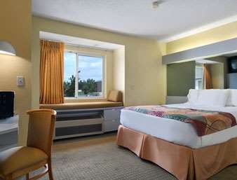 Best Western Buffalo Inn & Suites Williamsville Zimmer foto